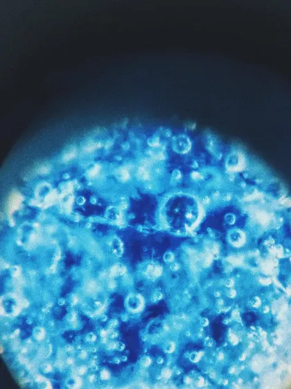This is what glaze looks like under a microscope. Every bubble, crackle, and crystal is a tiny universe created by heat and chemistry in the kiln. It’s a reminder of how much magic is happening on a microscopic level.