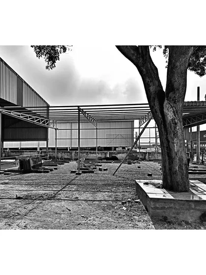 A site image from the early construction stages, showing how we plan around existing site features. The preservation of the mature tree was a guiding principle, influencing the layout of the building extension.