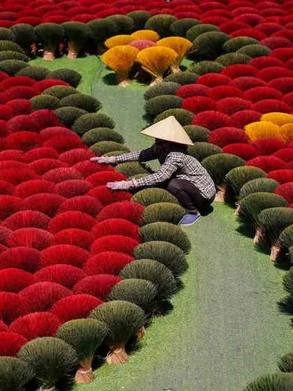 A creative arrangement of incense sticks in Vietnam, forming a map of the country with a river of green. This shows the artistic pride the villagers take in their work.