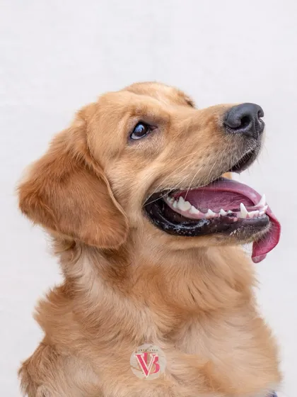 A happy, upward-looking portrait of Asher. His joy is palpable.