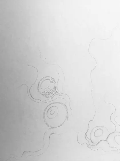 A duplicate of the first lines of the eyeball tree sketch.