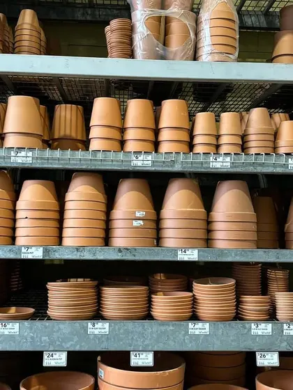 Shelves filled with terracotta pots of all shapes and sizes. I believe the right pot is just as important as the plant itself.