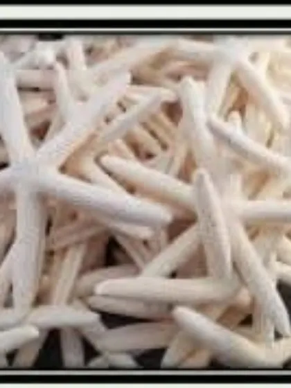 These delicate white starfish are a beautiful addition to any ocean-themed project. They can be used in resin art or to decorate candle containers.