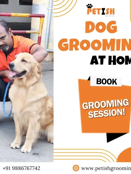 A happy moment with a golden retriever. I believe in building a bond with every dog before the grooming session begins.