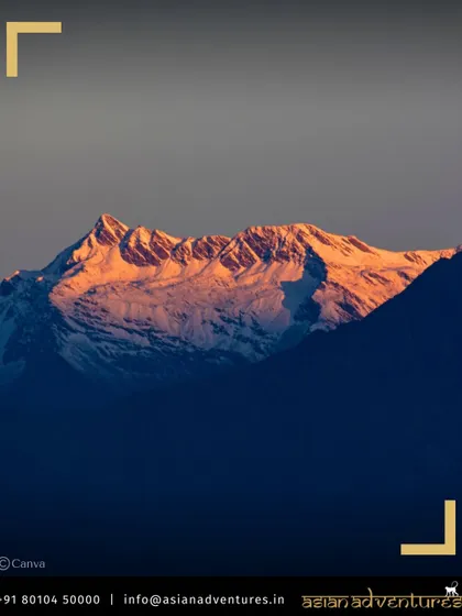 The first light of dawn illuminates a snow-capped peak in the Chopta region. We believe in starting early to catch the golden hour, perfect for both photography and spotting active wildlife.