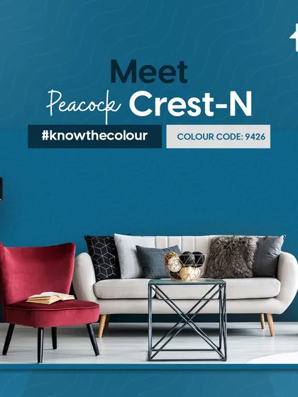 My "Better Half" and "Know the Colour" series explore unique color pairings and deep dives into specific shades. Let these ideas inspire you to create a truly unique and harmonious color story in your home.