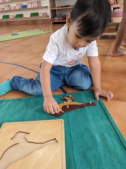 This child is working with a botany puzzle, learning the different parts of a plant. This hands-on approach to science helps children develop a rich vocabulary and a deeper understanding of the natural world.