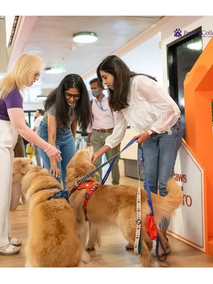 Golden Retrievers greeting potential adopters at our event. Our own community of pets and parents often helps welcome the newcomers.