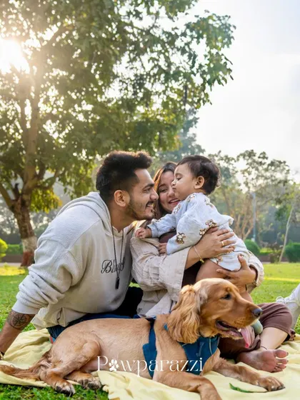 A sun-kissed family photo in a park, capturing a candid moment of love between parents, their child, and their cocker spaniel.