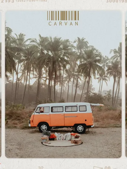A wide shot of the camper van parked amongst palm trees, setting the scene for a beautiful Goan adventure.