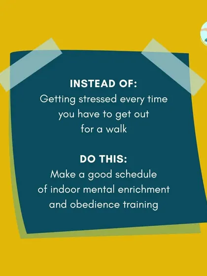 If you get stressed every time you have to go for a walk with your reactive dog, focus on a good schedule of indoor mental enrichment and obedience training first. This helps manage their energy and builds a foundation for calmer walks.