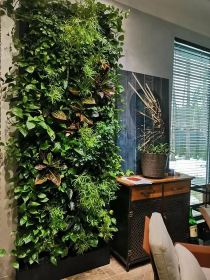 This indoor vertical garden acts as a living art piece in an office or home setting, placed next to a window to ensure it receives adequate natural light.