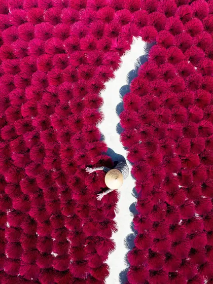 A top-down view of the Quang Phu Cau incense village, showing the incredible patterns created by the bundles of drying incense.