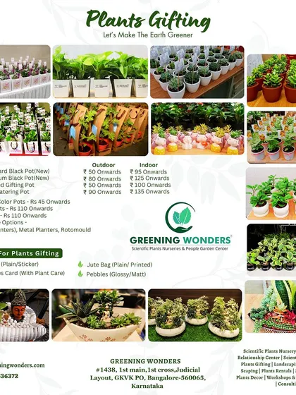 A detailed menu of our plant gifting options, showing the variety of plants and pots available for creating the perfect green gift.
