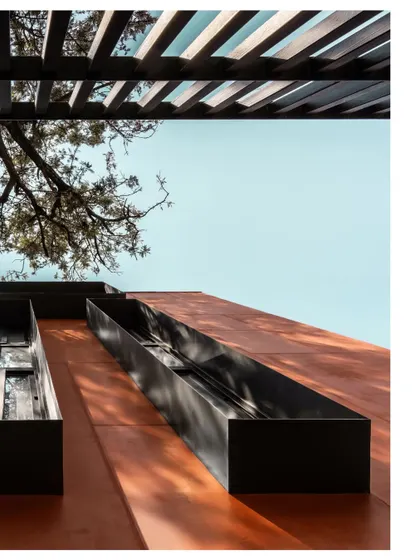 The overhead pergola structure casts linear shadows that complement the dappled light filtering through the tree. This detail adds another layer of texture and visual interest to the building's exterior.