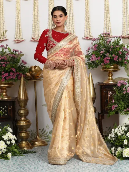 Another view of this beautiful saree, showcasing its delicate fabric and intricate details.