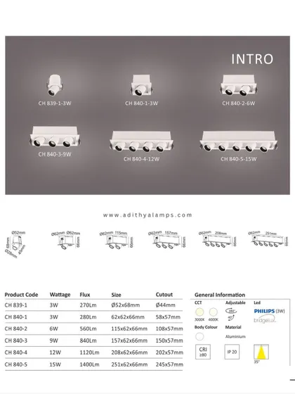 A duplicate of the 'Intro' series catalog page, providing comprehensive technical data for our versatile recessed lighting modules.