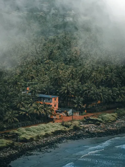 An aerial view shows a lone house nestled among a dense forest of palm trees by the sea, partially shrouded in fog. This moody shot from above captures the mystery and beauty of the coastline.