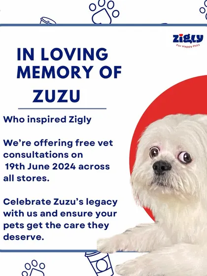 A tribute to Zuzu, whose spirit inspired our mission. We honor his memory by giving back to the community with a day of free vet consultations for all pets.