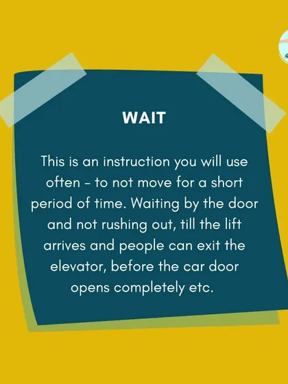 "Wait" is one of the first and most important cues I teach puppies. It's a versatile command used for safety at doorways, elevators, and car doors, teaching impulse control from a young age.