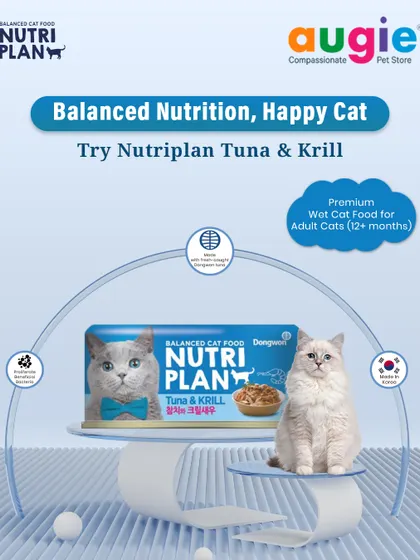 For balanced nutrition that leads to a happy cat, try Nutriplan Tuna & Krill. It's a premium wet food formulated for adult cats over 12 months old, providing everything they need to thrive.
