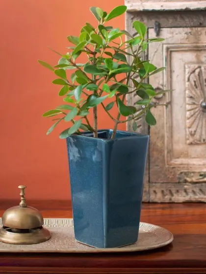 Styled on a console table, the Nile planter adds height and a pop of color, beautifully complementing the surrounding decor.