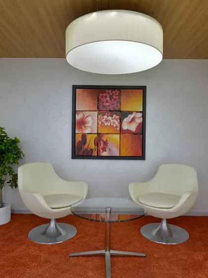 A formal seating area with two white chairs and an orange carpet. This waiting area uses bold color and sculptural furniture to make a statement. The bright orange carpet contrasts with the sleek, mid-century modern style chairs, creating a visually engaging space for visitors.