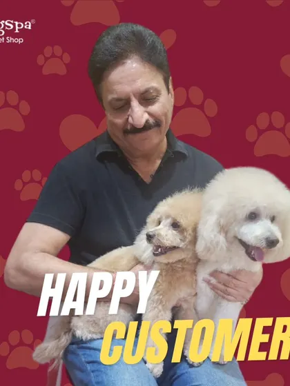The end result: a happy pawrent with his two beautifully groomed poodles. Seeing the joy on both human and pet faces is the best part of my job. These pups are fresh, fluffy, and ready for cuddles.