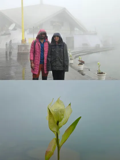 A journey of spirituality and rare beauty. The top photo shows trekkers at the misty Hemkund Sahib Gurudwara, while the bottom features the sacred Brahmakamal flower found at this altitude.