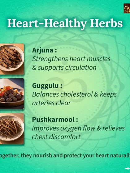 This infographic shows key heart-healthy herbs in Ayurveda. Arjuna strengthens heart muscles, Guggulu helps balance cholesterol, and Pushkarmool improves oxygen flow.