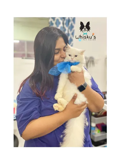 Cuddles with a sweet white kitten after her first grooming. It's so important to make their initial experiences positive and full of love.