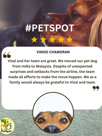 Vinod Chandran's review highlights how we handle unexpected surprises from airlines. My team and I always make every effort to make the move happen, no matter the setbacks.
