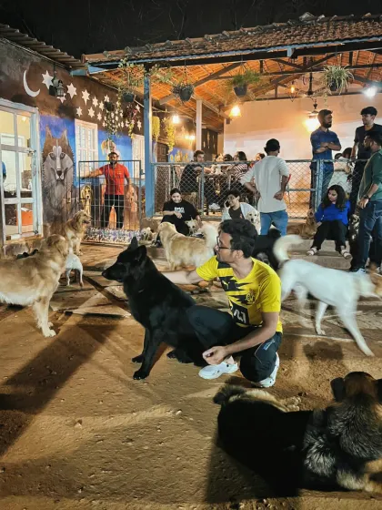The fun doesn't stop when the sun goes down. Our park has a warm, inviting atmosphere in the evenings, making it a perfect spot to unwind after a long day, surrounded by the happy energy of our dogs.