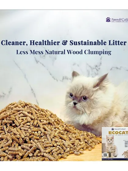 A beautiful Persian cat sits beside a pile of EcoCat litter, illustrating our promise of a cleaner, healthier, and sustainable litter solution with less mess.