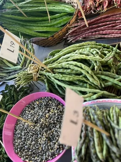 Freshly harvested beans and seeds at a market. The labels indicate different local varieties, showcasing the rich biodiversity of Nagaland's produce.