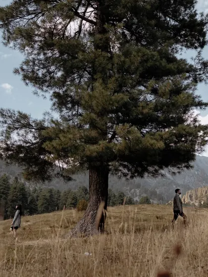 A wide shot showing the couple as small figures in a vast, beautiful meadow, emphasizing the grandeur of the Kashmir landscape in their pre-wedding story.