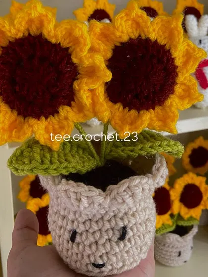 A close-up of a happy little potted sunflower, showing the two bright flower heads and the cheerful pot.