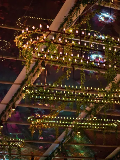 A stunning ceiling installation with custom lighting rigs intertwined with lush green vines, creating a starry night effect inside a clear-span marquee.
