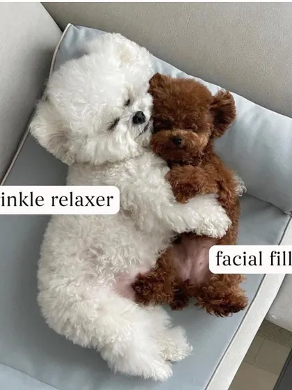 Wrinkle relaxers like Botox and facial fillers are a perfect pair. While Botox smooths out lines caused by muscle movement, fillers restore volume and structure, working together for a complete and harmonious rejuvenation.