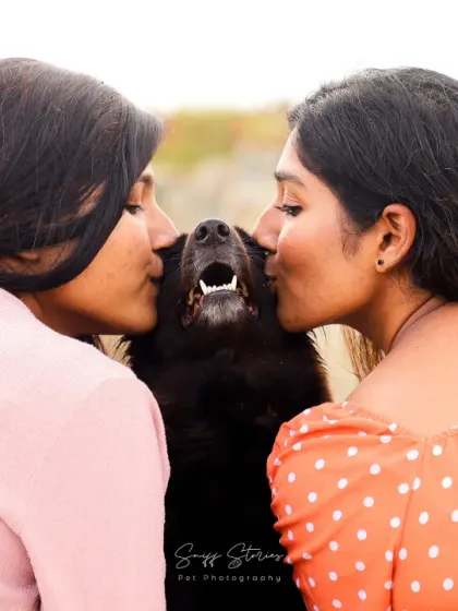 Two women share a kiss with their happy black dog, a perfect picture of a family full of love.