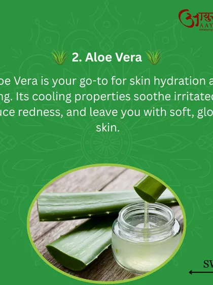 Aloe Vera is another go-to for skin hydration and healing. Its cooling properties soothe irritated skin, reduce redness, and leave your skin soft and glowing.