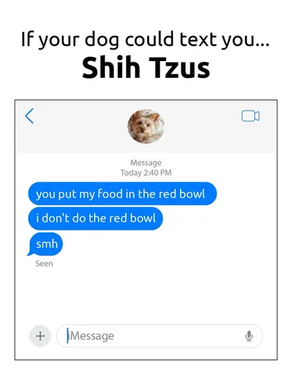 If a Shih Tzu could text, you know they'd have opinions about their dinnerware. Don't you dare use the red bowl.