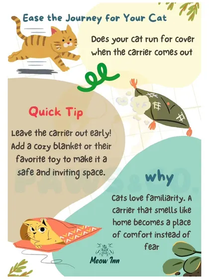 Does your cat hate their carrier? This tip explains how to ease their journey by making the carrier a familiar and inviting space before you travel.
