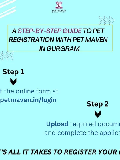 We've streamlined the entire pet registration process into two simple actions. Just fill out the online form and upload your documents. We handle all the legwork after that.