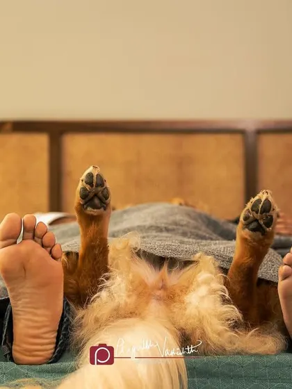 Feet up, paws up! A fun and creative shot of the family, including their Golden Retriever, relaxing in bed together.