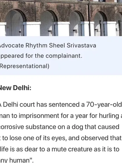 A news report mentioning my role as the advocate for the complainant in the case where a man was imprisoned for throwing a corrosive substance on a dog.