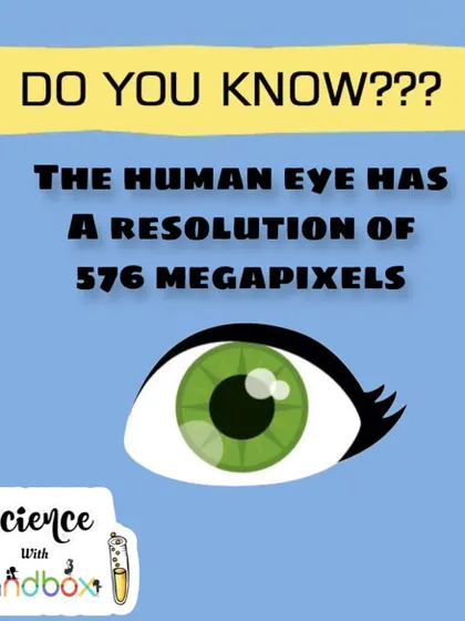 Did you know the human eye has a resolution of 576 megapixels? We explore the amazing capabilities of our own bodies through incredible science facts.