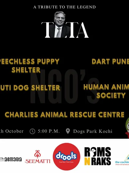 We are proud to be one of 25 NGOs nationwide collaborating on the Ratan Tata Pet Donation Drive. Joining forces with other organizations allows us to make an even bigger impact for our four legged friends.