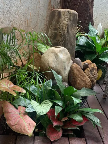 Here is a close-up of a tropical greenscape I created, mixing different leaf shapes, colors, and textures. I used caladiums, peace lilies, and other foliage plants with natural stones and a wooden log to build a rich, layered, and natural-looking corner.