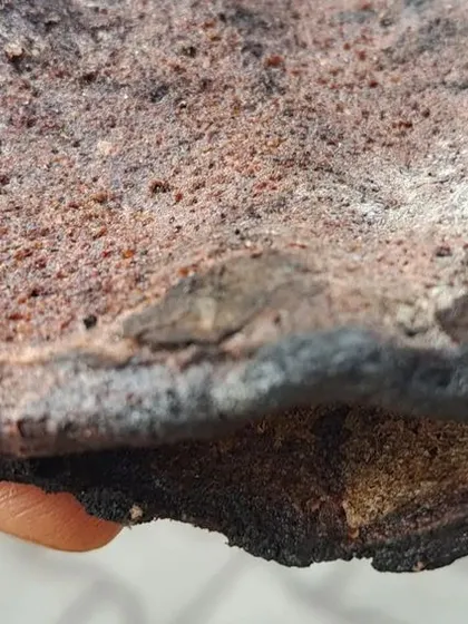 A piece of the 'Raggi Roti' that is central to the 'Roti Habba' festival of the Soliga tribe.